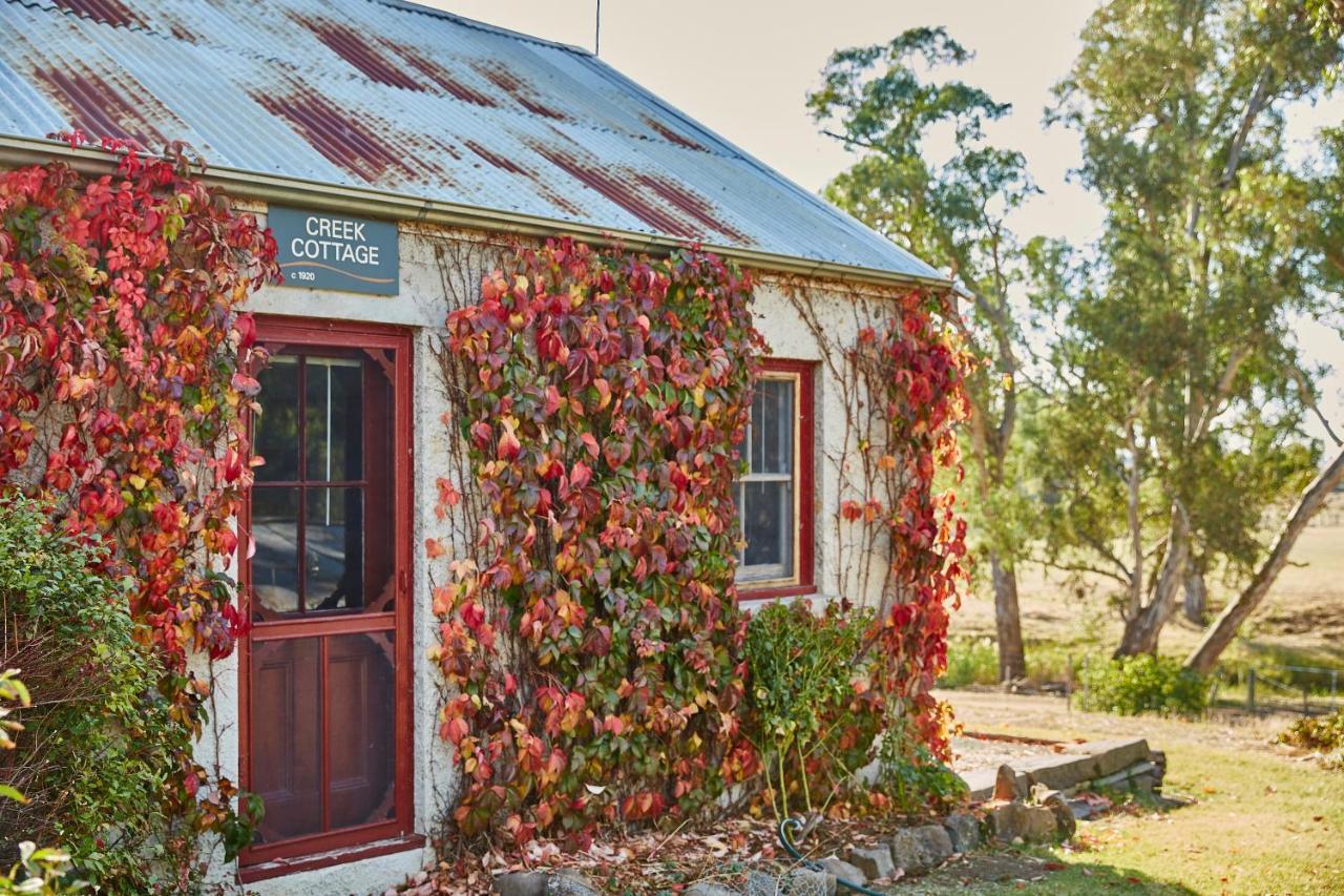 Lochinver Homestead And Cottages Maryborough Dış mekan fotoğraf