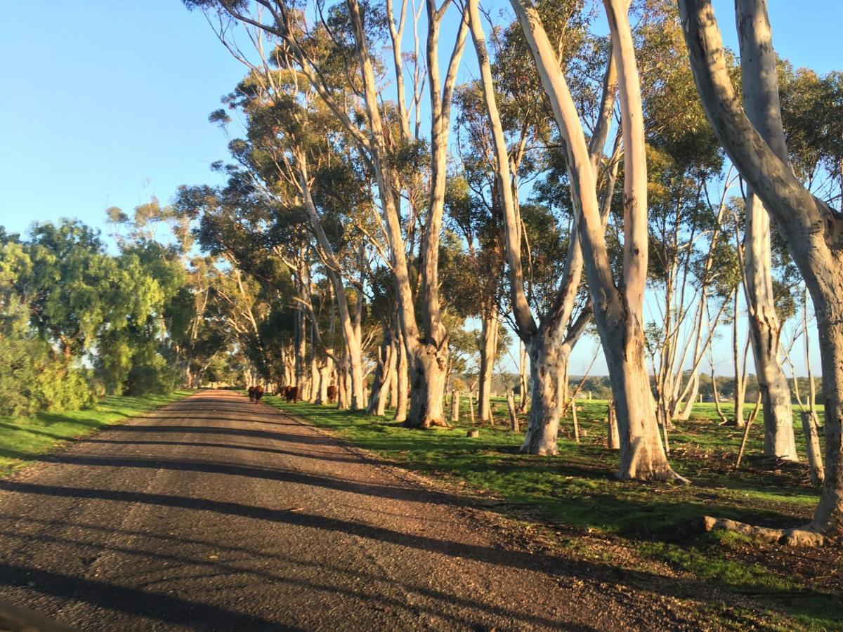 Lochinver Homestead And Cottages Maryborough Dış mekan fotoğraf